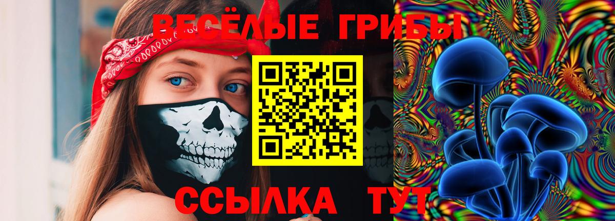 Галлюциногенные грибы GOLDEN TEACHER Королёв